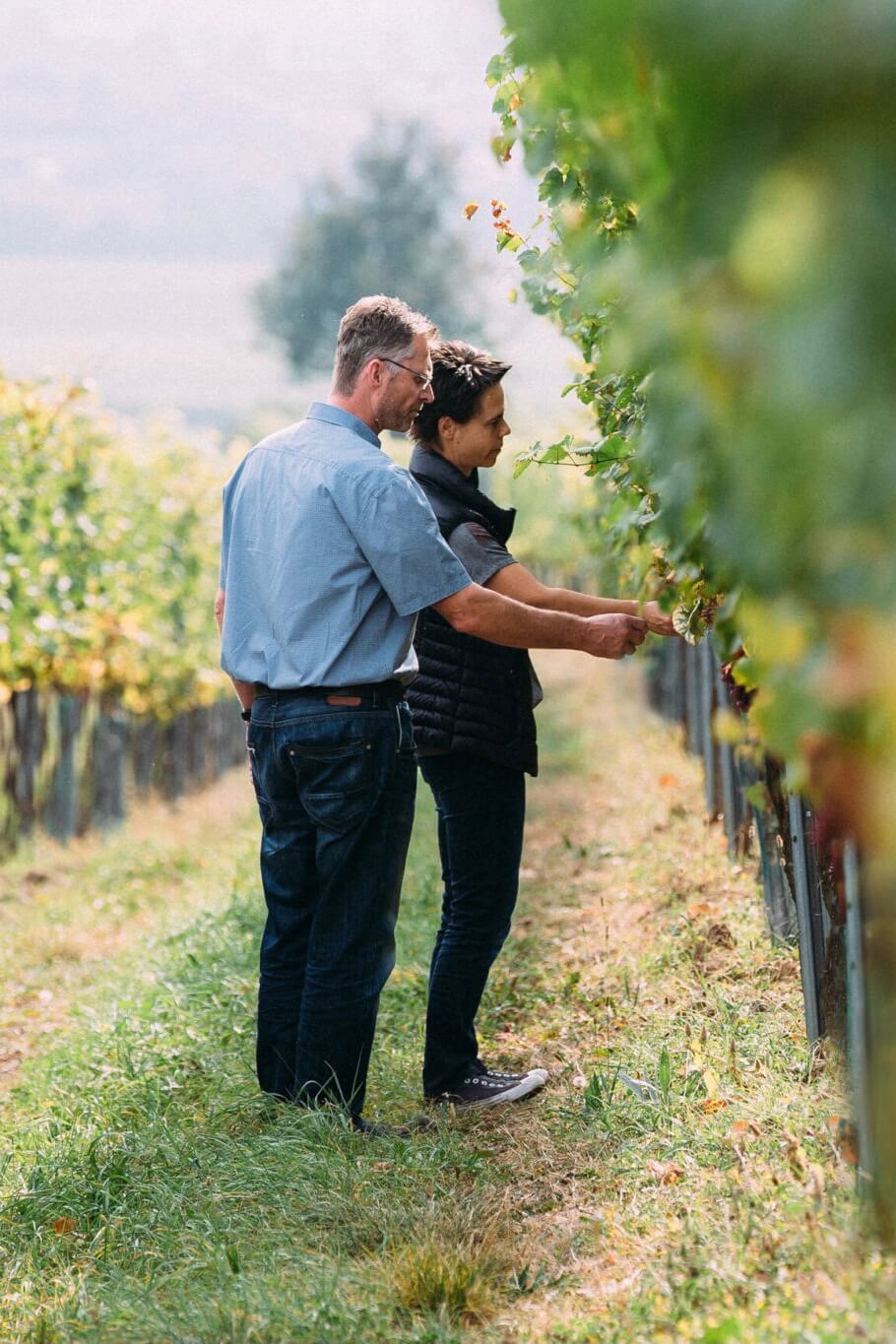 Winzerinnen und Winzer