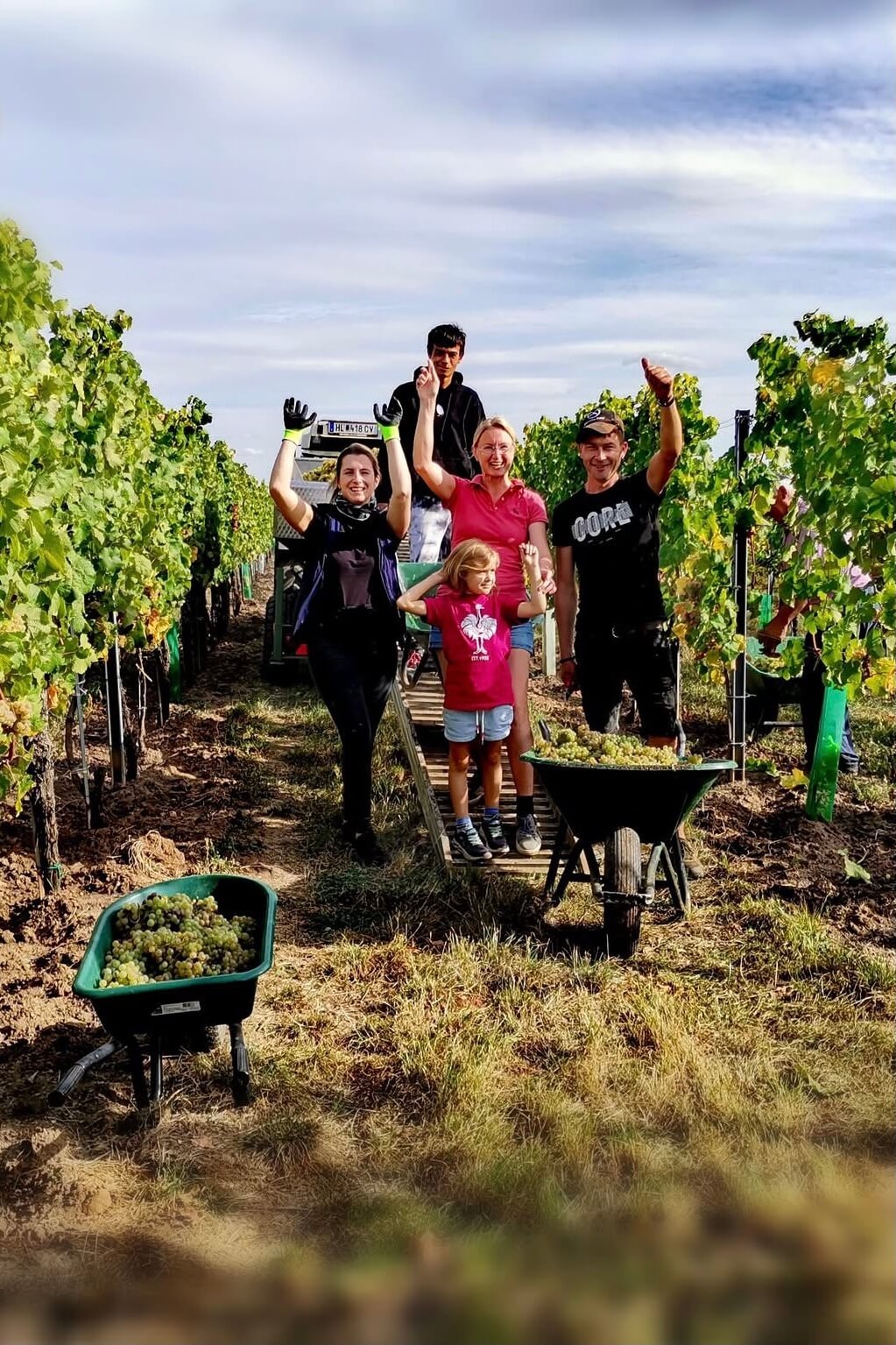 Winzerinnen und Winzer