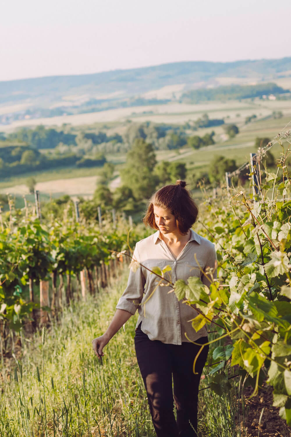 Winzerinnen und Winzer
