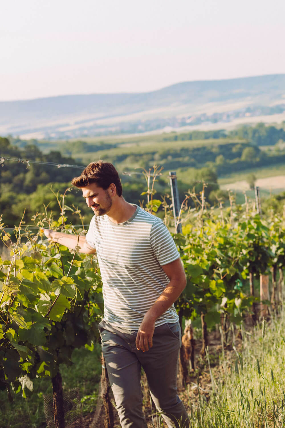 Winzerinnen und Winzer
